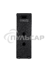 Колонка для вечеринок Sven PS-1900 черный (SV-022037)