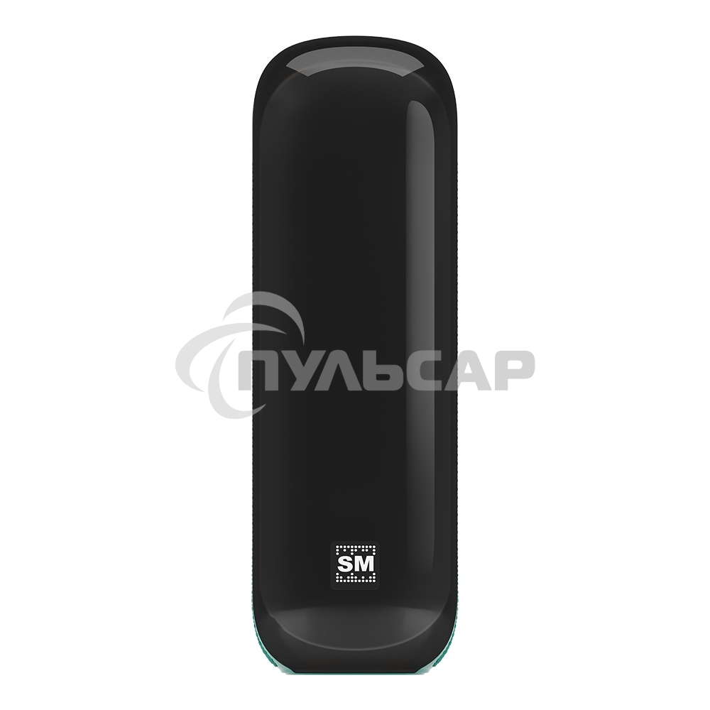 Портативная колонка SOUNDMAX SM-PS5023B зеленый