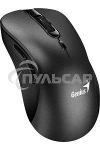 Мышь беспроводная Genius Ergo 8100S черный, 1600 dpi, радиоканал, USB, кнопки - 6