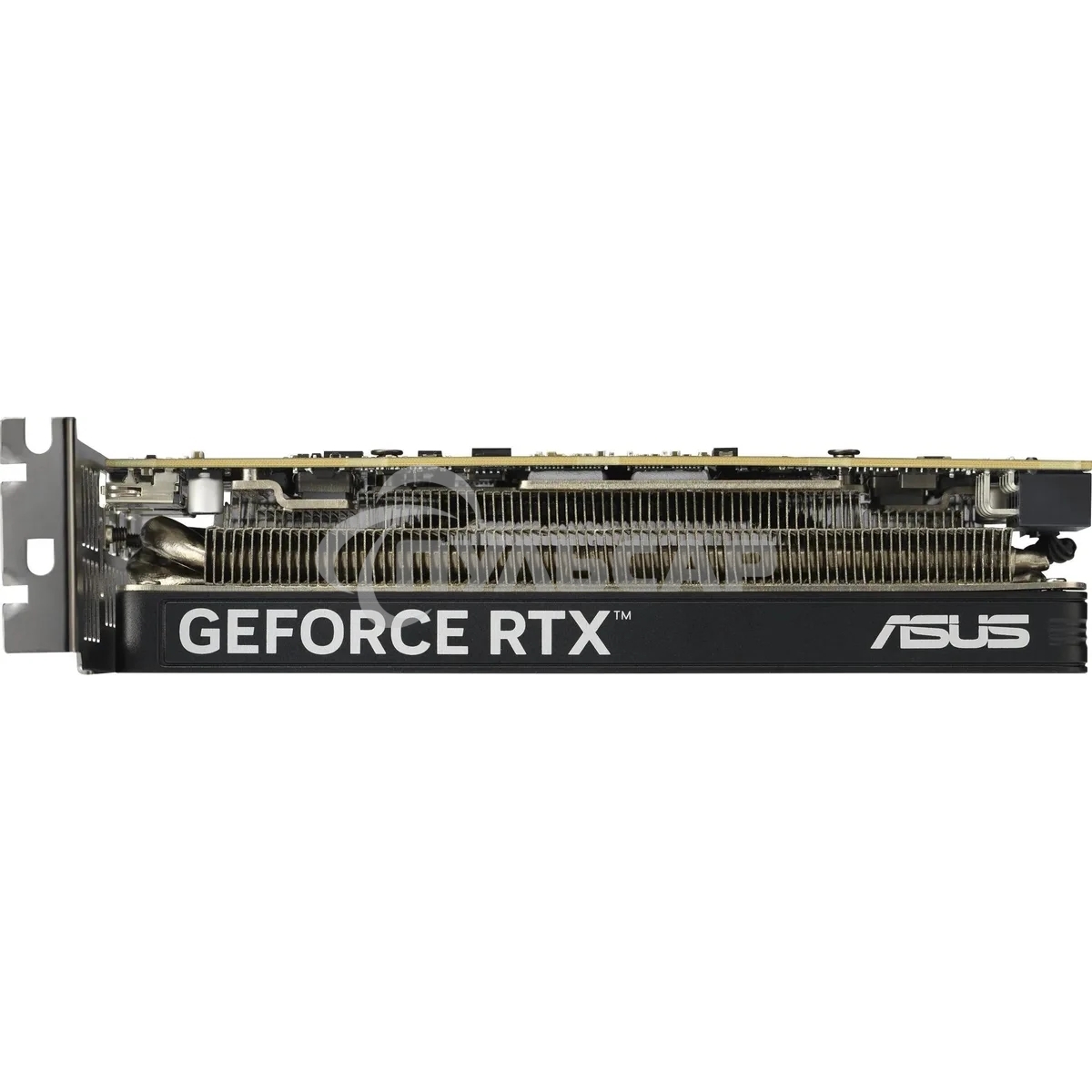 Видеокарта ASUS RTX 5060-O8G-LP-BRK