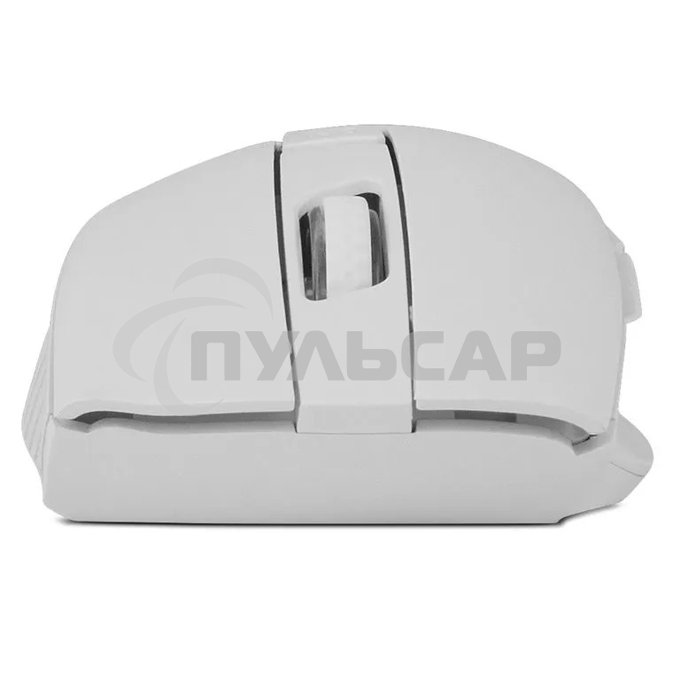 Мышь беспроводная SVEN RX-425W белый, 1600 dpi, радиоканал, USB, кнопки - 6