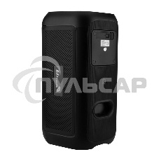 Колонка ELTRONIC 30-86 DANCE BOX 900 - 06