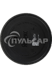 Умная колонка Яндекс Станция Мини, 10Вт, с голосовым ассистентом Алиса на YaGPT, с LED-часами, черный