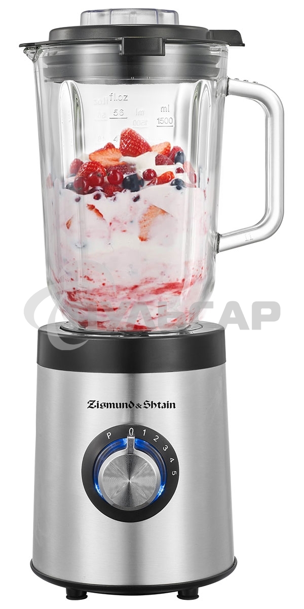 Блендер стационарный Zigmund & Shtain BS-481 D 1200 Вт, металлик