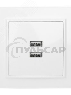 Розетка EKF ERR-2USB-100 Минск USB 2-местная СП 2,1А белая