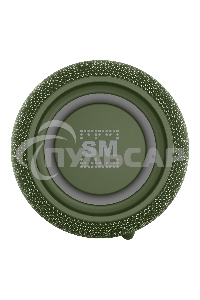 Портативная колонка SOUNDMAX SM-PS5026B зеленый