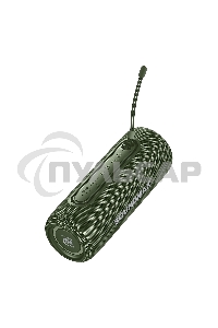 Портативная колонка SOUNDMAX SM-PS5026B зеленый