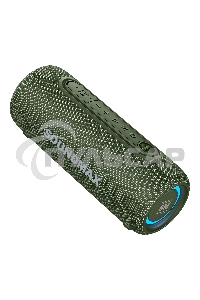 Портативная колонка SOUNDMAX SM-PS5026B зеленый