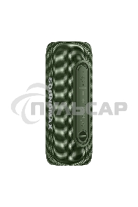 Портативная колонка SOUNDMAX SM-PS5026B зеленый