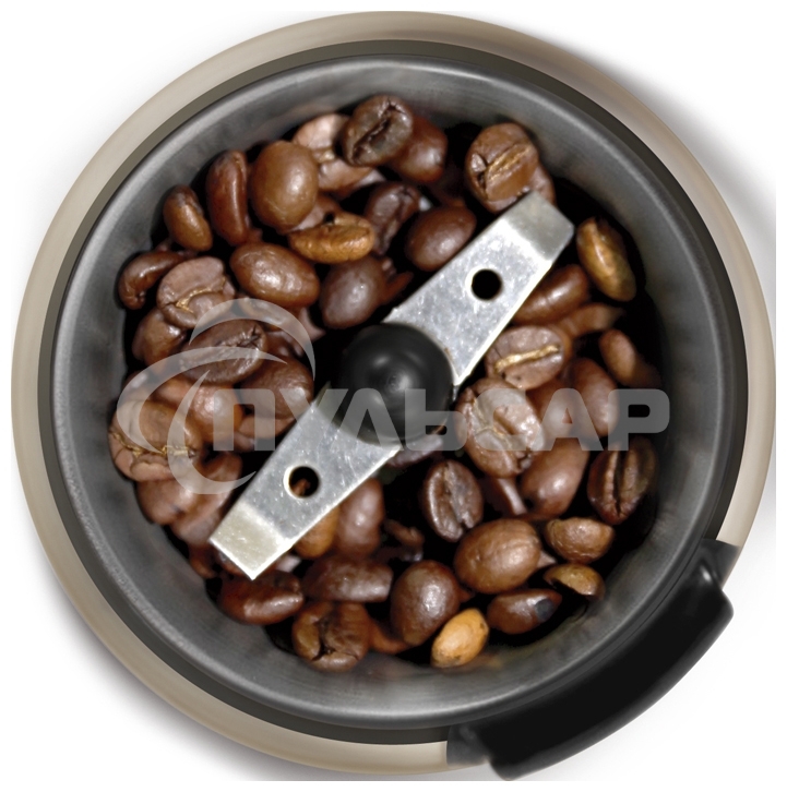 Кофемолка Zigmund & Shtain ZCG-08 150 Вт, 40 г, коричневый