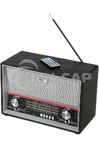 Радиоприемник Ritmix RPR-102 черный