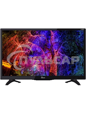 Телевизор Scoole 24