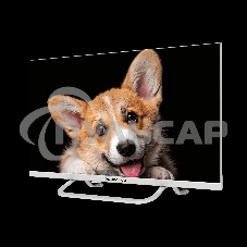 Телевизор Topdevice 24