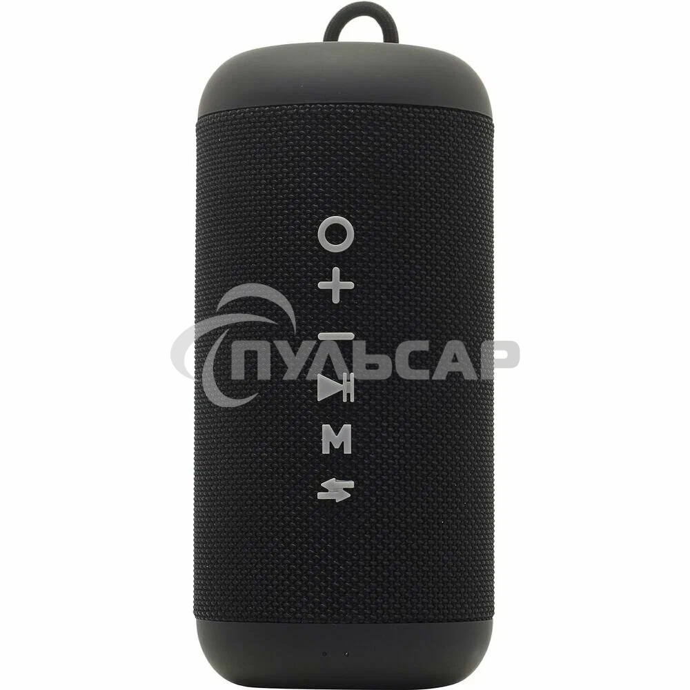 Портативная колонка SOUNDMAX SM-PS5012B черный