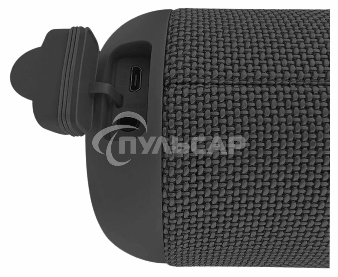 Портативная колонка SOUNDMAX SM-PS5012B черный