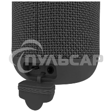 Портативная колонка SOUNDMAX SM-PS5012B черный