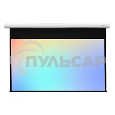 Экран с электроприводом Lumien Master Business Control 297х455 см, (раб.область 267х426 см) (198