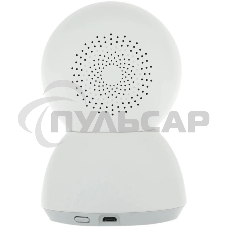 Поворотная IP-Камера Xiaomi Smart Camera C300 Dual EU