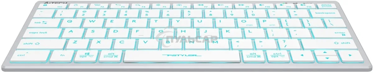 Клавиатура проводная A4Tech Fstyler FX61, USB, белый/синий