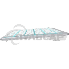 Клавиатура проводная A4Tech Fstyler FX61, USB, белый/синий