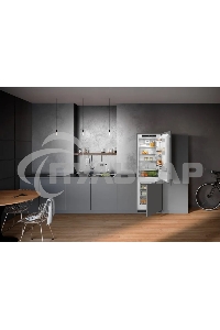 Холодильник Liebherr ICNE 5103-22 001 белый двухкамерный 190/83л морозилка снизу, No Frost