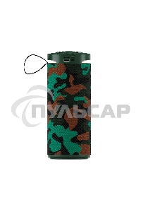 Портативная колонка SOUNDMAX SM-PS5015B хаки