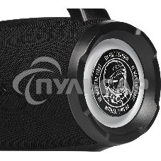 Портативная колонка URAL Гагарин ГР-005 черный