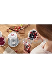 Блендер стационарный Bosch MMB2111T 450Вт серебристый