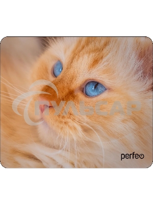 Коврик для мыши PERFEO PF_D0667 