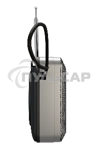 Радиоприемник SOUNDMAX SM-RD2116 черный