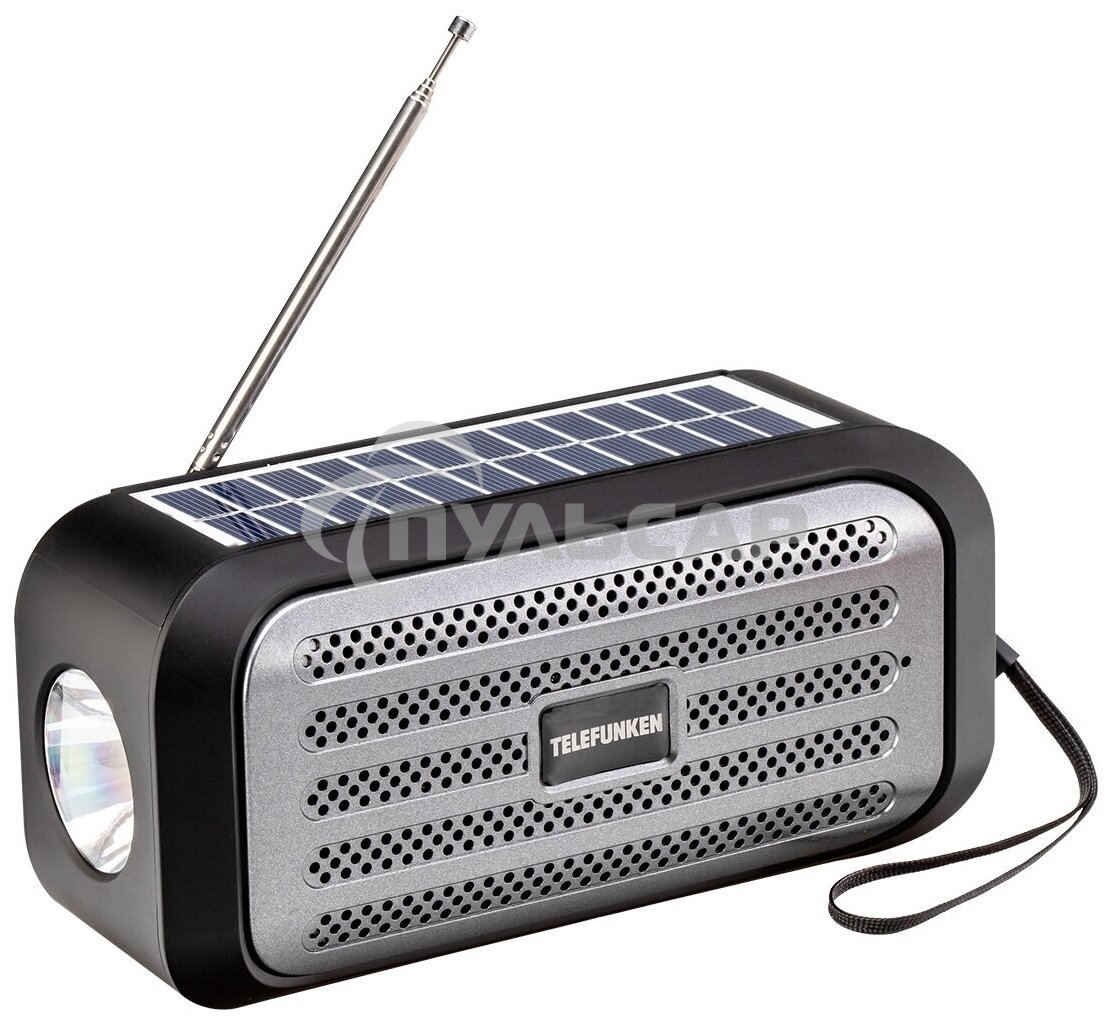 Портативные аудиосистемы TELEFUNKEN TF-PS1244B(черный с серым)