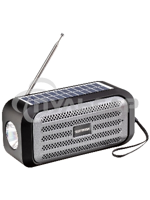 Портативные аудиосистемы TELEFUNKEN TF-PS1244B(черный с серым)