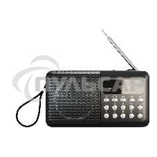 Радиоприемник SOUNDMAX SM-RD2116 черный