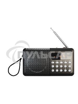 Радиоприемник SOUNDMAX SM-RD2116 черный