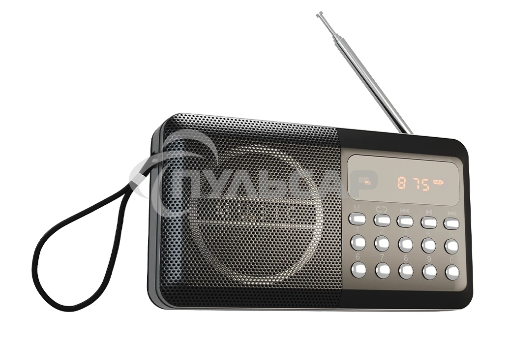 Радиоприемник SOUNDMAX SM-RD2116 черный