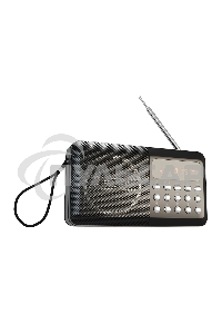 Радиоприемник SOUNDMAX SM-RD2116 черный