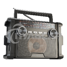 Радиоприемник SOUNDMAX SM-RD2120UB