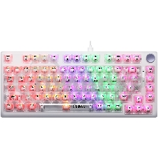 Клавиатура проводная механическая Defender Icebone GK-354 RU,прозрач,81кн+FN,радуж,1.5м_1