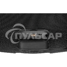 Колонка портативная Ural Урал ТТ М6+ черный/черный 110W 1.1 BT/3.5Jack/USB-C 10м 8000mAh (ФР-00003974)