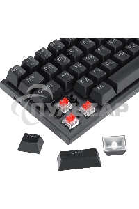 Клавиатура проводная механическая Defender Cairon GK-081