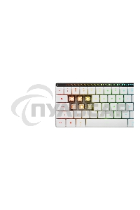 Клавиатура беспроводная ASUS M603 FALCHION RX /KB,ROG RX OPTICAL/LP/RLRD/RU