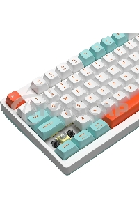 Клавиатура проводная A4Tech Fstyler FS300 (FS300 PANDA SNORKLENING), USB, белый