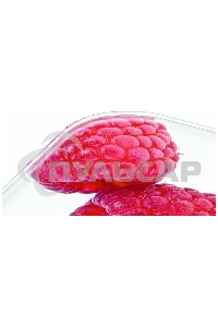 Кухонные весы Beurer KS19 berry макс.вес:5кг рисунок