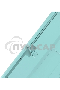 Клавиатура проводная A4Tech Fstyler FS300 (FS300 PANDA SNORKLENING), USB, белый