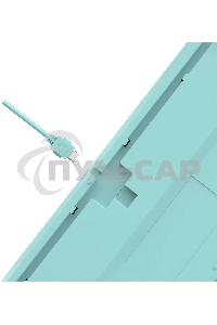 Клавиатура проводная A4Tech Fstyler FS300 (FS300 PANDA SNORKLENING), USB, белый