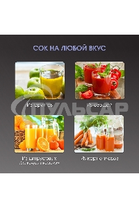 Соковыжималка Zigmund & Shtain EJ-757