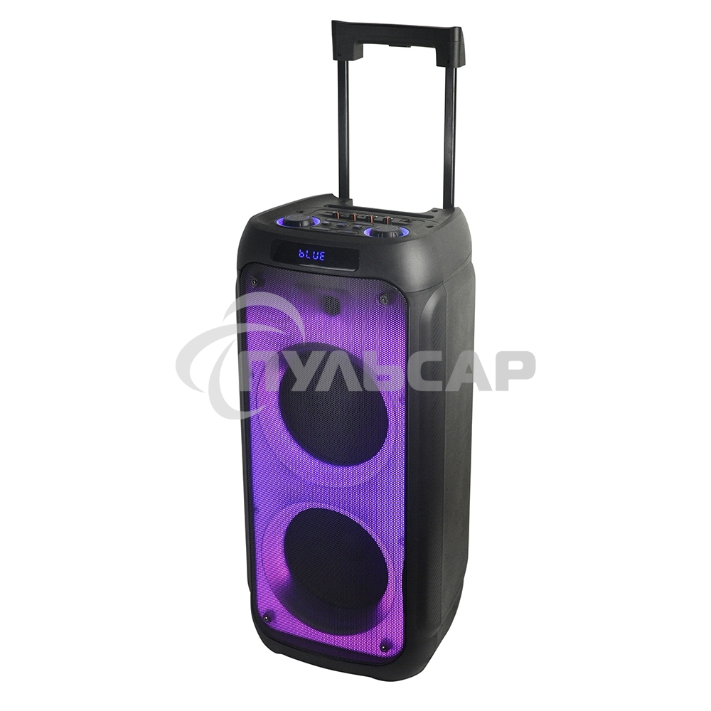 Колонка ELTRONIC 10