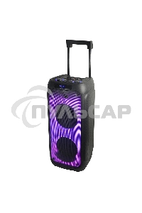 Колонка ELTRONIC 10