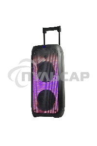 Колонка ELTRONIC 10