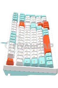 Клавиатура проводная A4Tech Fstyler FS300 (FS300 PANDA SNORKLENING), USB, белый